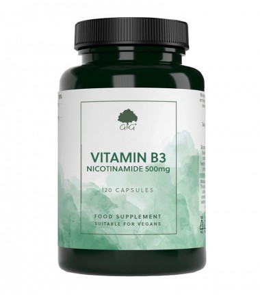 G&G Vitamins - Vitamin B3 Nikotinamid 500 mg, 120 kapsula